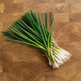 Nebuka Evergreen Bunching, Onion Seeds